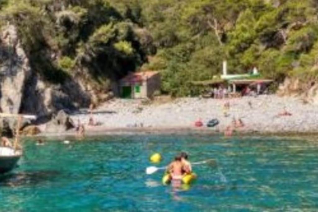 Piscina Playa Wifi Cozy Home Tax Free Palamós Eksteriør billede